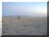 Dust Settles