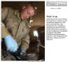 A1C Bond - Deployed