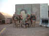 saddam2 - 726th ACS AGE Deployed to Iraq - 2005